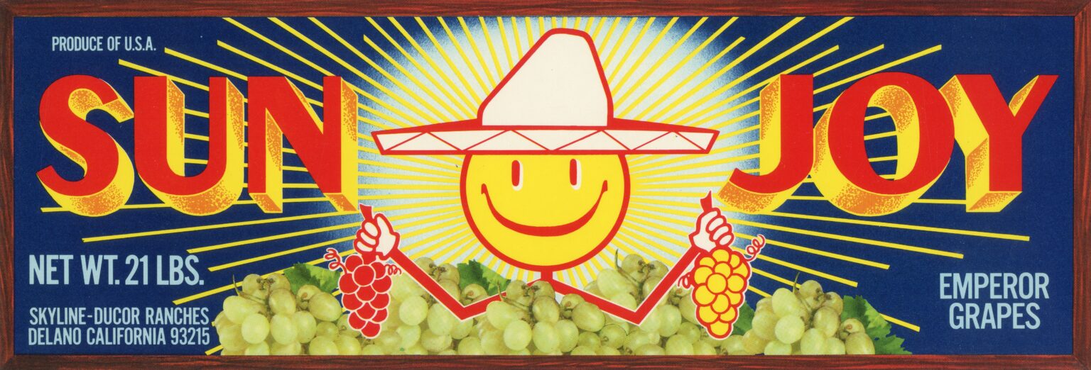 Sun Joy